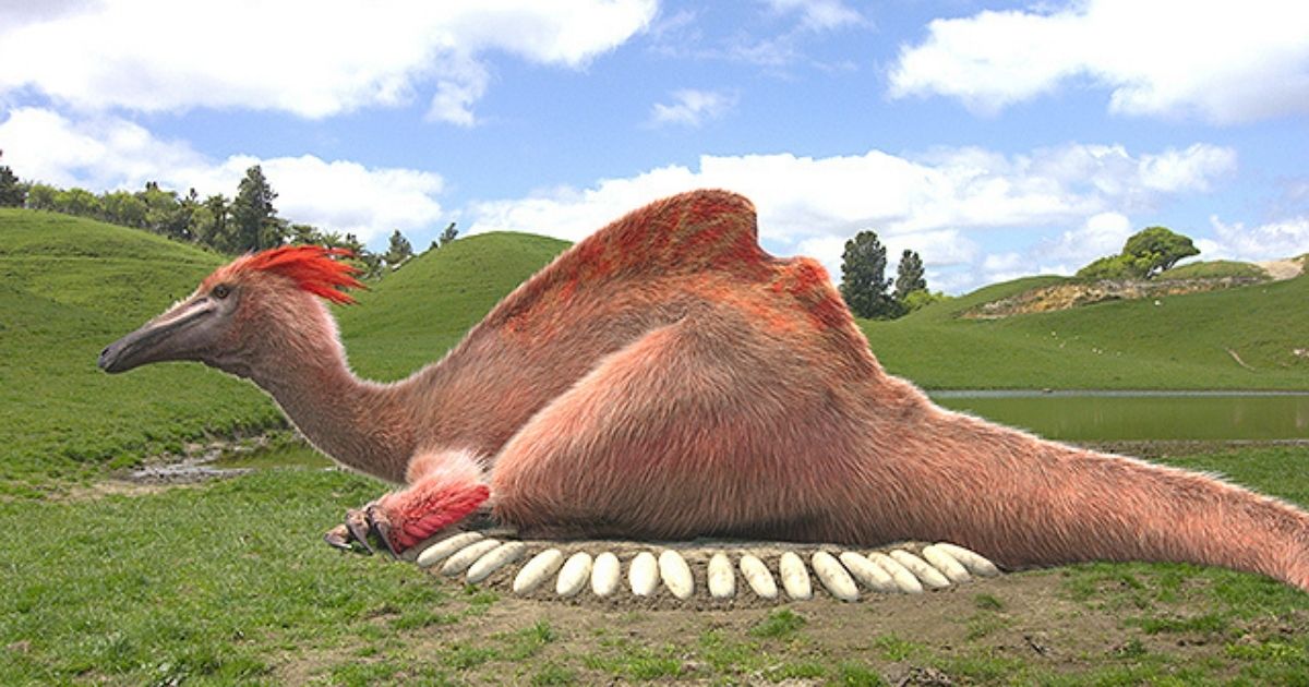 映画「恐竜超伝説　劇場版ダーウィンが来た!」を無料動画で見る!あらすじ・見どころもおさらい!